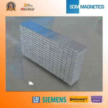 N50 Magntic Segment Neodymium Magnet